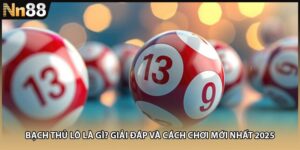 Bạch Thủ Lô Là Gì? Giải Đáp Và Cách Chơi Mới Nhất 2025