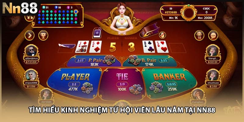 Tìm hiểu kinh nghiệm từ hội viên lâu năm tại NN88